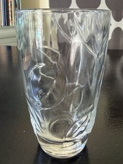 Cristal D Arques Style Botanic Raised Leaf Drinking Glass Clear
