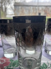 Vintage Dorothy Thorpe Silver Fade Highball Glasses —Set of 6 etched floral