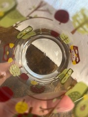 Libby Crisa Vintage Owl-Themed Glass Tumbler With Colorful Branch & Leaf Design