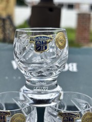 Beautiful Bohemia Czech Republic Lead Crystal Vodka Shot Glasses Set Of 6