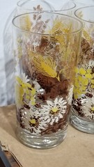 vintage glasses 4 MCM Brown Daisy Wheat 5.5 in tall drink glasses