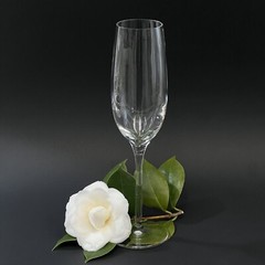 Tiffany & Co. Crystal Champagne Flute Classic U-Shape Signed 9 5/8″ EUC