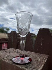 Ruby Red Clear Etched Floral And Leaf Design Vintage Cordial Glasses Set Of 6