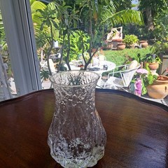 Selezione IVV Italian Crystal Glacier Ice Bark Clear Glass Vase 7 In