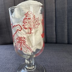 Weston WV Glass Almost Heaven Cup