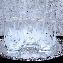 Vtg. Lynn’s Fine China Arby’s Frosted Pines Glasses Gold Rim Tumblers Set of 5