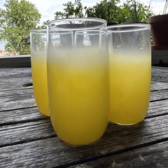 3 Blendo Yellow Frosted Tumblers 5″ West Virginia Glass W/ Gold Rim