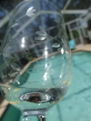 Crystal Clear Industries #2690 Stem Wheel Cut Floral Design 6oz Wine Glass EUC