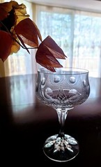 TIFFIN-FRANCISCAN Mid Century Champagne Glasses Set of 6