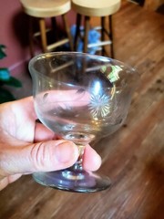 10 Vintage Etched Low Sherbet Champagne – Cut Glass – Flower Leaf & Vine design