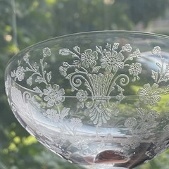 Duncan Miller First Love Etched Sherbet Champagne Glasses 5 pc Set Floral 5111