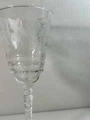 Vintage Floral Etched Optic Panel Crystal Water Wine Stemmed Drink Clear Glass