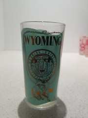 Hazel atlas frosted glass vintage Wyoming 5”Tumbler Antique Travel