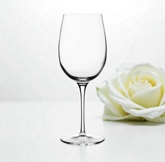 Luigi Bormioli Italy VINOTEQUE Wine Series Clear 20 OZ Ricco Red Wine Glass NEW
