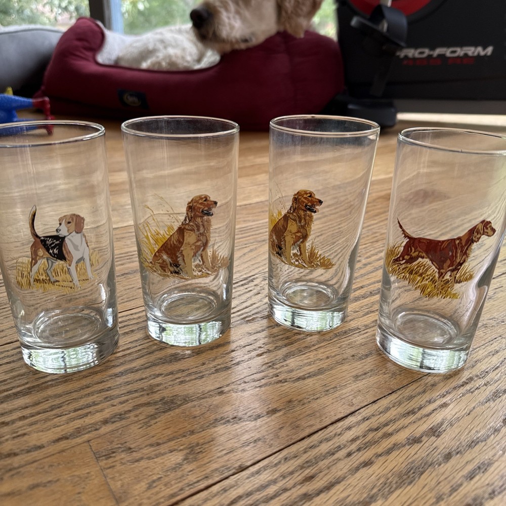 Vintage Drinking Glasses Hunting Dogs