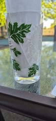 🌿Vintage Boscul Peanut Butter 5″ Glass White CHRYSANTHEMUM