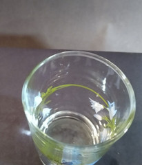 Corelle Blue Dusk Juice Glass