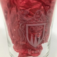 YOUNG Etched Coat Of Arms Family Crest 6.75in X 3.25in Wine Glass Water Goblet