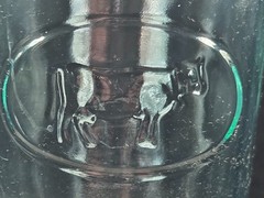 Vintage Italian Farmhouse Embossed Cow Glasses Set of 4 Aqua Green Made Italy