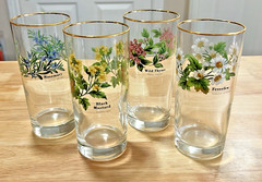 Royal Worcester Herbs Tumbler Highball Set 4 Botanical Florals Gold Trim EUC