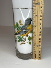 “Baltimore Oriole” Vintage 12oz Flat Tumbler By West Virginia Glass Specialty