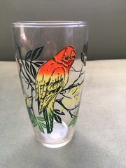 Vintage Parakeet Green, Orange & Yellow Graphic Print Mid Century Drinking Glass