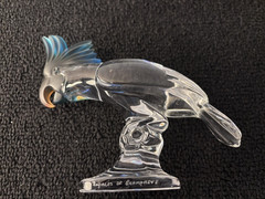 Crystal Parrot Champagne Royales