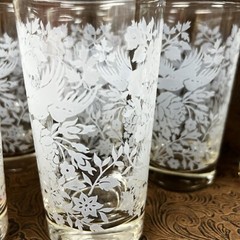 Set of 8 Libbey Garden Lace Glasses Tumblers Clear with White Graphics Birds