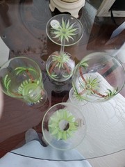 Vintage Handpainted Palm Tree Wine & Iced Tea Glasses