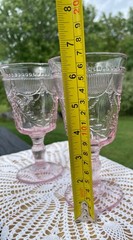 Set of 2 Fortessa Debutante Pink Glass Goblets 10oz. Vintage Floral Pressed