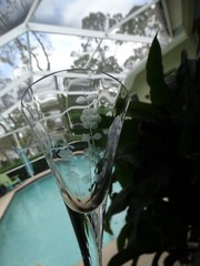 Colony Glass Clear Blown Made in Romania Wheel Cut Sandra 7oz Water Goblet VGUC