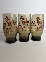 6 Vintage Smokey Brown Drinking Glasses Retro Birds & Flowers MCM, Boho, 70’s