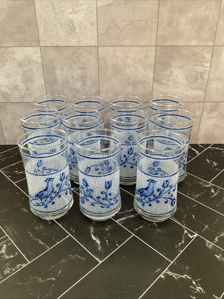 Libbey 10 oz glasses Frosted Blue bird and flower 5.25” X 2.50” Set of 11