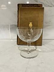 🌲 Vintage Etched Pinecone Cocktail Glasses Set of 4 Coupe Barware