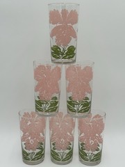 Set (6) Vintage MCM Pink & Green Iris Flower Tumbler Glasses Swanky Swig 16oz