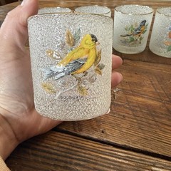 Vintage WV Glasses Flat Tumbler Songbirds 8 oz Set of 5 Gold Rim Nature Whimsy