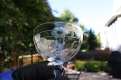 Vintage Standard Glass SGM2 Cut Florals & Dots Footed Tall Sherbet Dish Set of 6