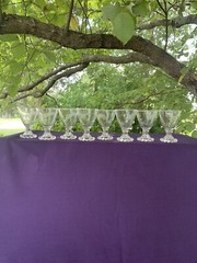 Antique SET of 8 French Feather Leaf Etched Button Footed Cognac Glass ❤️sj11h5s