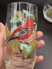 West Virginia American Songbirds Two Drinking Glasses Tanager And Goldfinch