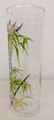 2 Vintage FEDERAL GLASS Mid Century Modern GOLD BAMBOO Highball Drinking Glasses