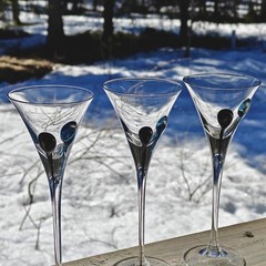 Nuutajarvi Finland set of six cordial glass by Heikki Orvola