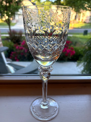 Rogaska Gallia Crystal Wine Water Goblet Glass Etched Floral Slovenia 9.25″
