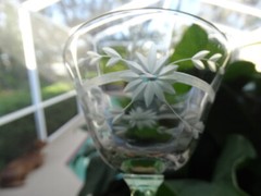 Weston Clear Crystal Green Stem Liquor Cocktail Grey Cut Flower Horizontal Band