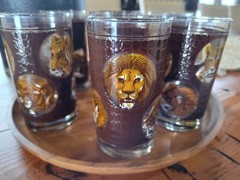 Vintage MCM 6 Libbey Glasses African Safari Tumblers Textured Brown Animals