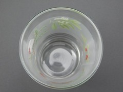 6 Pfaltzgraff Winterwood Green 6 oz Frosted Lowball Cocktail Glasses Chickadee