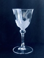 Cristal D’Arques Durand Florence Crystal One Water Goblet