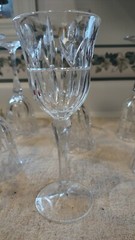 Tulip Garden Lead Chrystal Bar Ware by Blcok