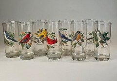 Vtg West Virginia Glass Co Songbirds 8 High Ball Glasses Gold Rim MCM – 8 oz.