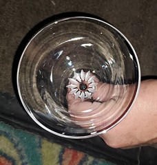 Crystal SNOW CRYSTALGOBLET Set of 10 x CHAMPAGNE Glasses