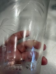 Vintage Set Of 4 Wells Hand Blown Etched Sunset Palm Collection HiBall Glasses
